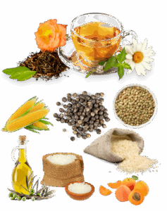 design sans titre (9)